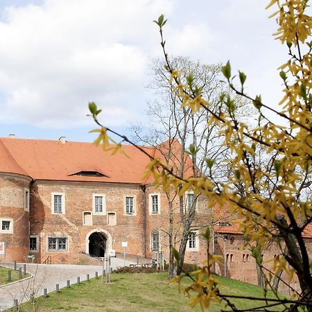 Burghotel Bad Belzig בלציג מראה חיצוני תמונה